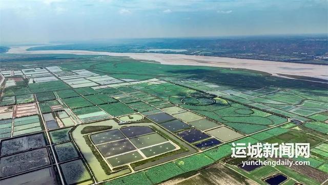 黄河一号旅游公路临猗段：黄河浪激处 大道谱新篇