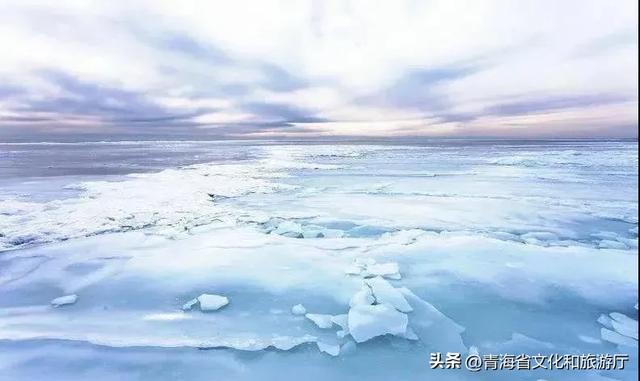 今日立冬丨倏忽秋已尽 今朝恰立冬