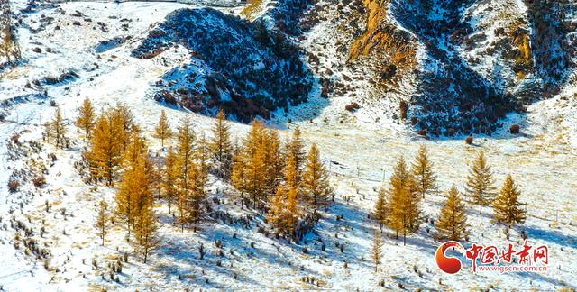 陇拍客丨雪落祁连山 壮美入画来