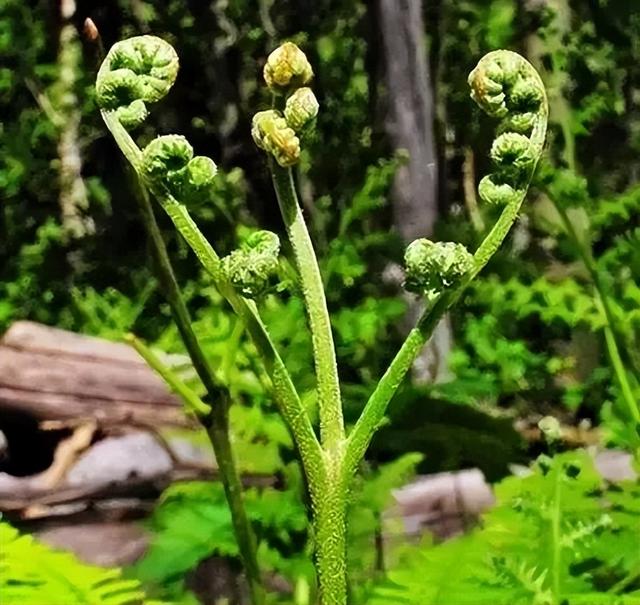 春假倒计时｜汉江源亲子踏青指南，承包全家春日欢喜！