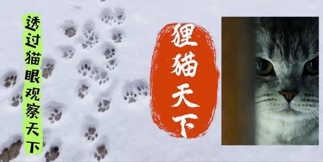 石家庄元氏县有常山气韵，元氏的饸烙香喷喷，殷村凉饸烙多放蒜汁