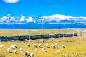 火车进藏到底坐哪一趟车能看到更多风景？看完再出发！图片