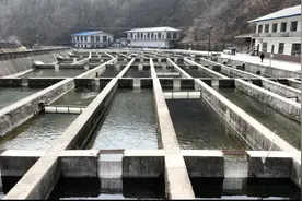 吉林省进入2025年度禁渔期图片