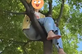 后续来了，远嫁女和老公吵架爬上树3天，小姑子哄下来后结局很好图片