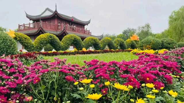 国庆假日第七天｜西青文旅市场热度持续 文化、生态、消费“三花齐放”