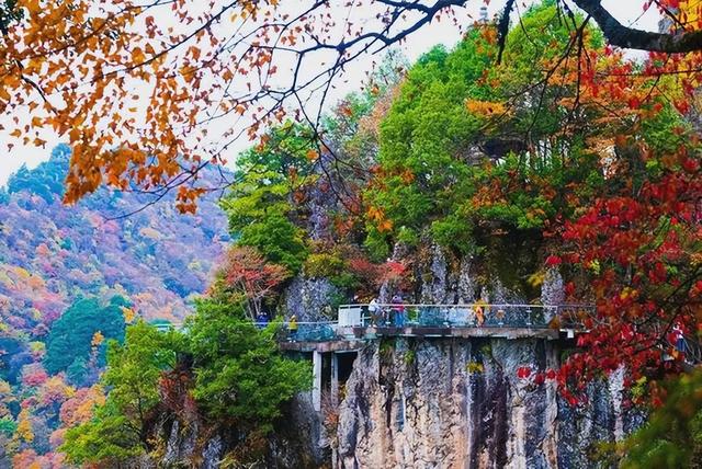 安康南宫山：五彩秋色惹人醉