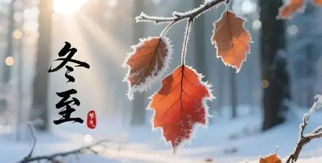 今年冬至十年难遇，冬至在月头，春节单衣过，2026年春节会冷吗