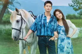 值得反复刷的国产剧《去有风的地方》图片