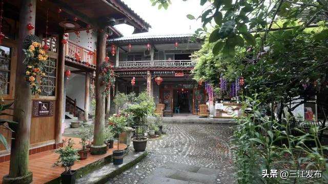 又到一季“柚香”时