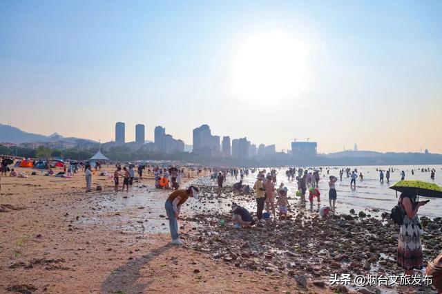 【乐游烟台】爆桶秘籍！烟台赶海zui全攻略速看→