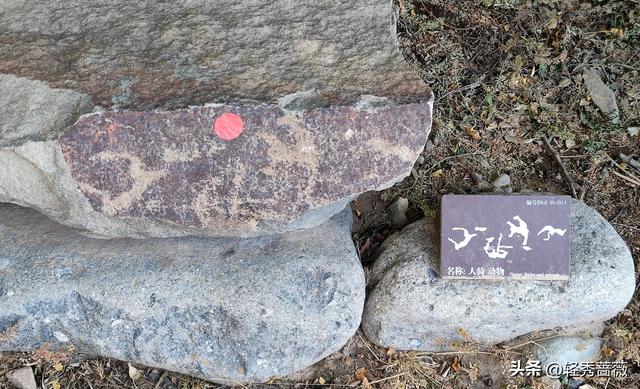 塞上江南宁夏，一个被严重低估的旅游大省
