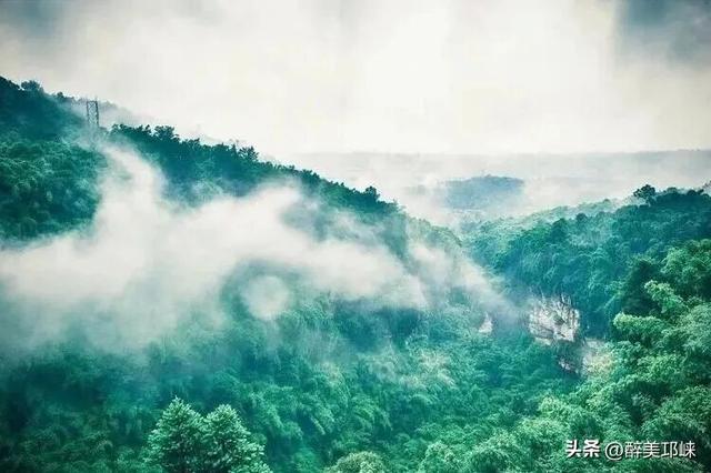 聆听邛崃丨漫步川西竹海秋日仙境