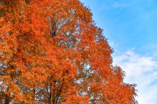 青睐绵阳 || 这里，绝美，超出片！