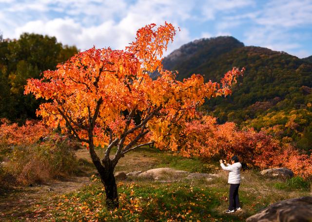 蒙山旅游区大洼秋景