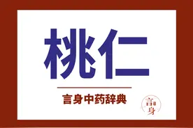 桃仁（活血调经药）图片