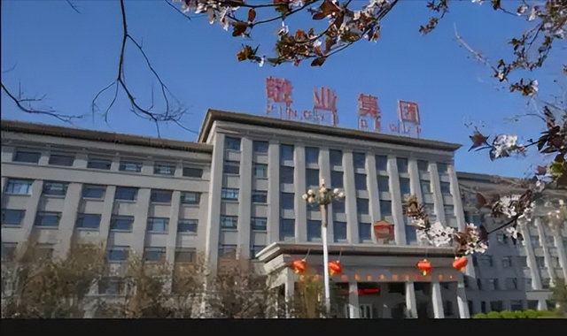 又一个国家盯上中企？野心比荷兰还大，目光不止局限于中国芯片