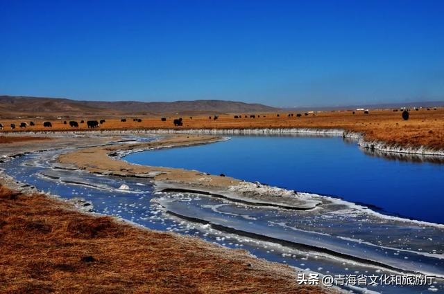 今日小雪丨挥别秋光，启幕四季的最后一场