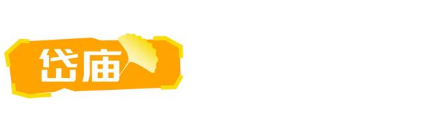 山东:时至初冬,银杏正当时