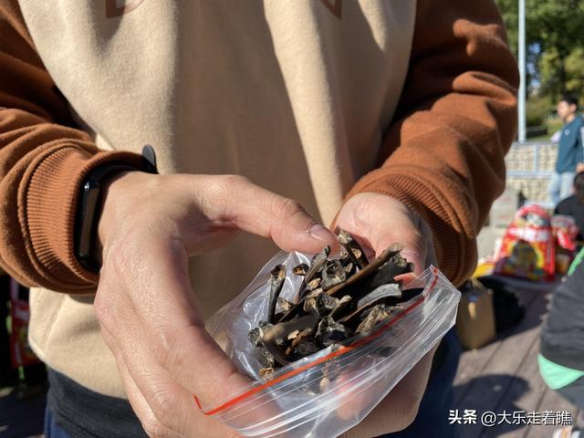 回不去的游乐园，拔不断的童年记忆