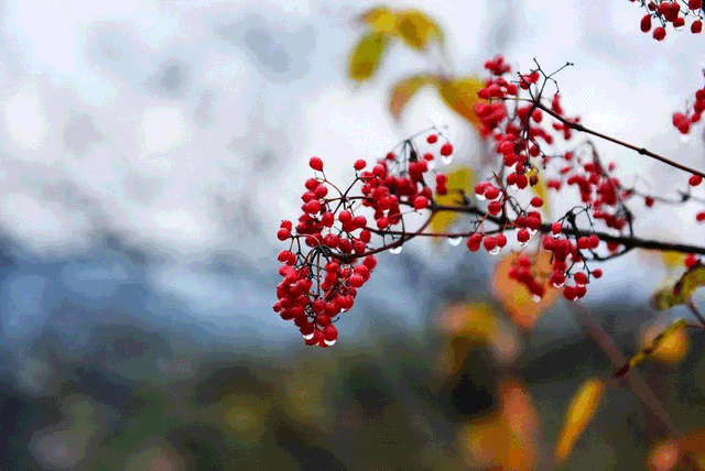 警告！深秋的徽县，千万别出门！因为……