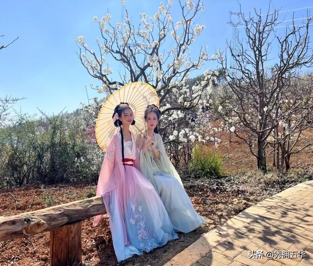“滇风”吹到了西翥·五华这厢有“梨”了 | 2026年五华区梨花节如约而至！