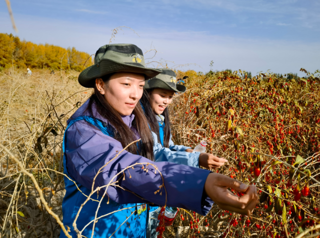 同比增长405.05%！青海累计接待研学游客突破30万人次