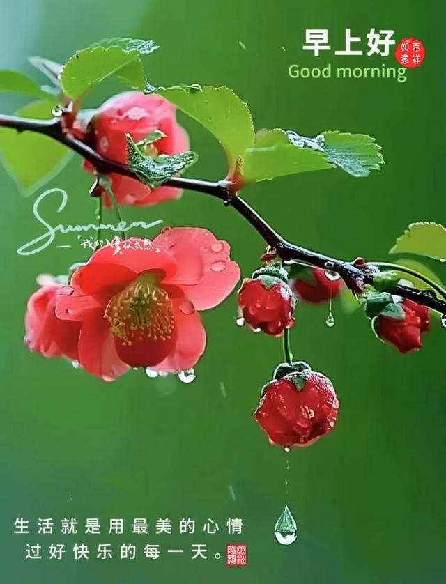 每日100句吉祥祝福语，最美的问候语大全，祝福朋友们快乐吉祥