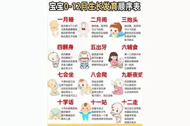 0 - 12 月宝宝成长大揭秘：每月发育里程碑全解析图片