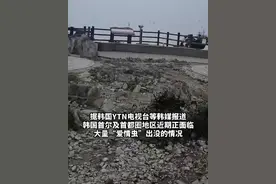 韩国首尔“爱情虫”爆发，民众崩溃：每天都像在拍恐怖片！图片