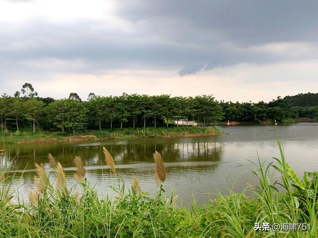 南海金沙岛国家湿地公园