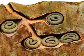 蛇冬眠时“任鼠宰割”，很有可能会被吃掉，那蛇为何一定要冬眠？图片