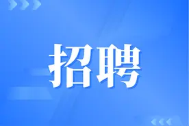 有编！公开招聘137人图片