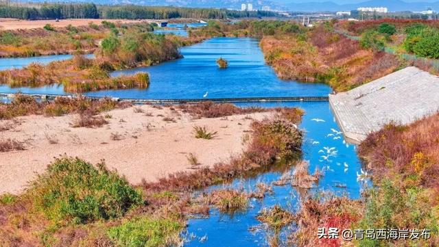走不出这画了,我已被西海岸的秋景迷倒 🥹