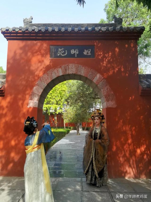 做几天洛阳人——游河南洛阳赏牡丹芬芳 总体概述(四)