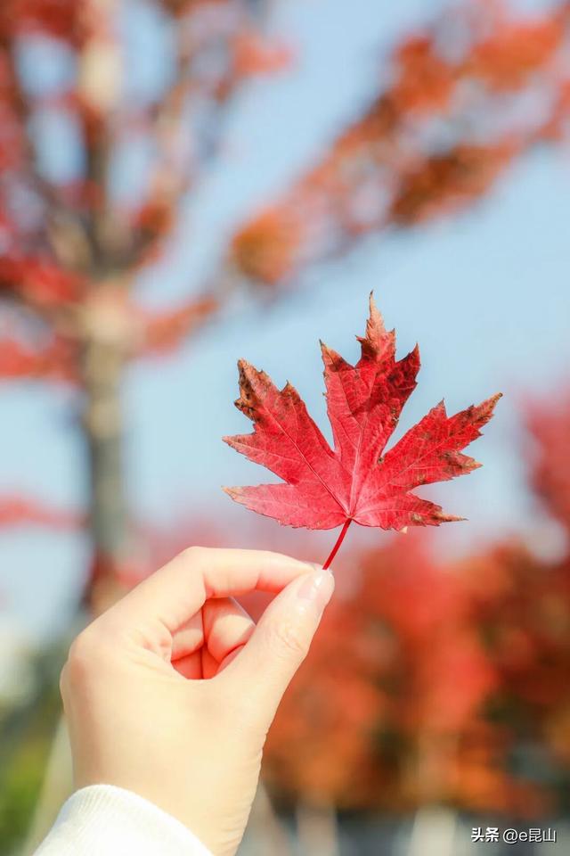 久等了！红透啦！