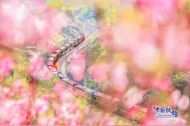 美图袭来！当中国铁路遇到古诗词！图片