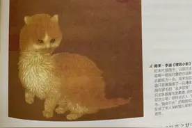 宋朝人！为什么把猫画的这么丑？看完评论区才发现原来是写实！图片