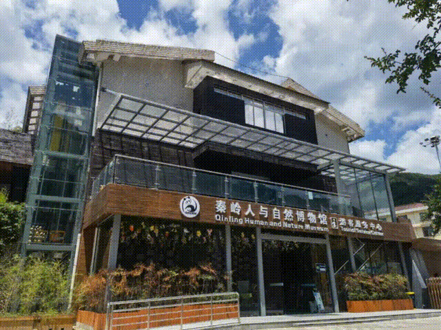 预约一身温暖！佛坪地标集体换上“白色治愈装”！