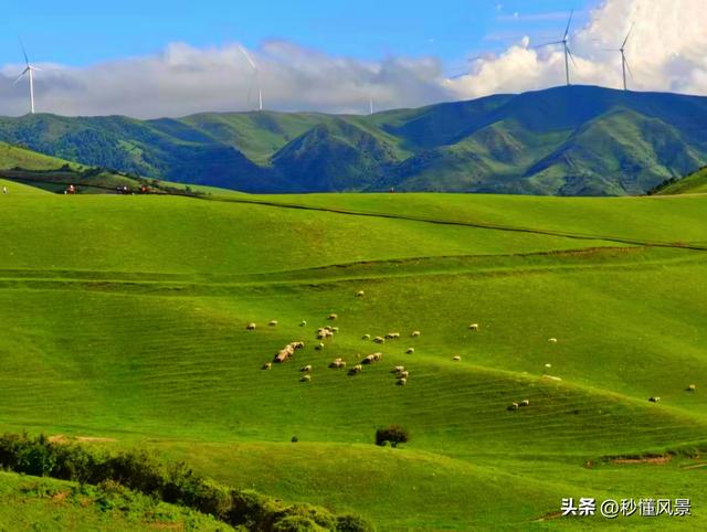 离西安最近的“草原天路”，车可以开到海拔2400多米的山顶！