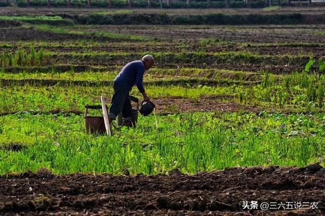 “不怕重阳阴，就怕重阳晴”，今日重阳，为啥怕晴天？看老人咋说