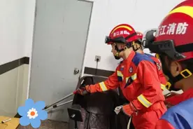 杭州一眼镜蛇“敲门”进入大妈家中!为何不请自来???图片