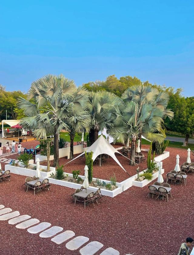 厦门园博苑虫返地球博物馆，这是一座沉浸式活体昆虫主题博物馆