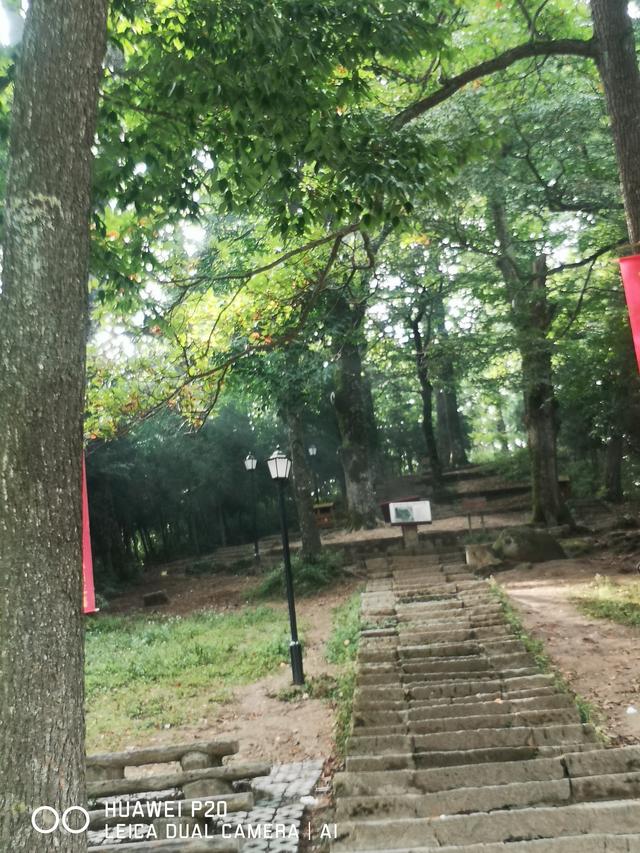 酷暑中探秘雪峰山巅峰的奥妙