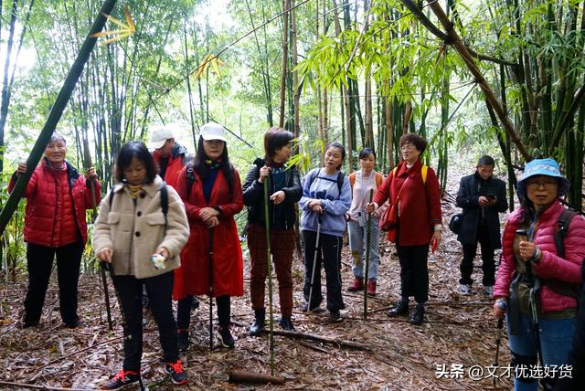 高祥君 王文才：皮缝洞徒步的孕育与成长(文案）