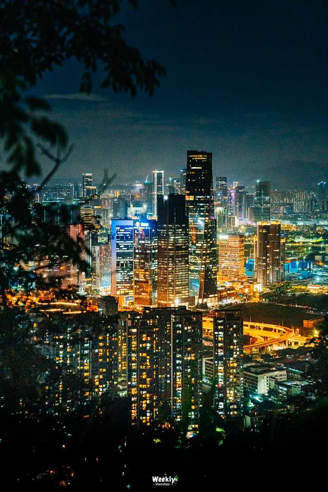 深圳的未来,为什么看前海?