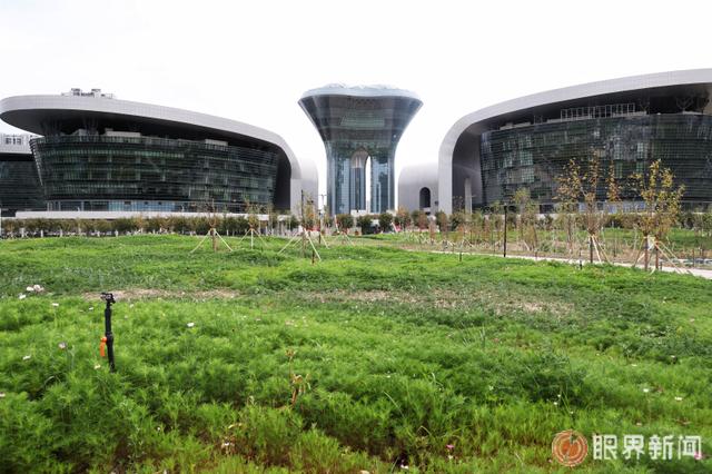 这处新增小游园正式亮相 位于乌鲁木齐文化中心北侧，占地60亩