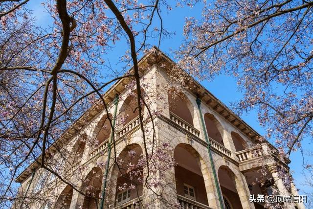 三月女士免票，男士半价！鸡公山邀您双园畅玩