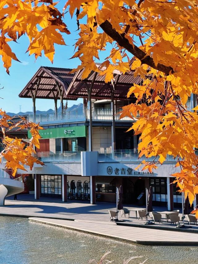 快看！京西福地门头沟已经满是秋天的颜色——