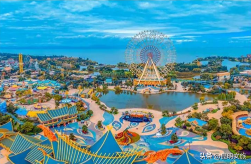2025最新观鸥地图：这些地方“鸥”气值MAX，拍照直接封神！