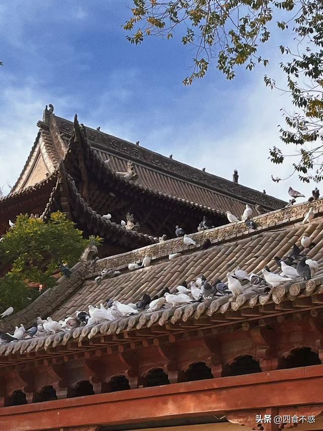 盘点人生赏秋清单，推荐四处小众赏秋地